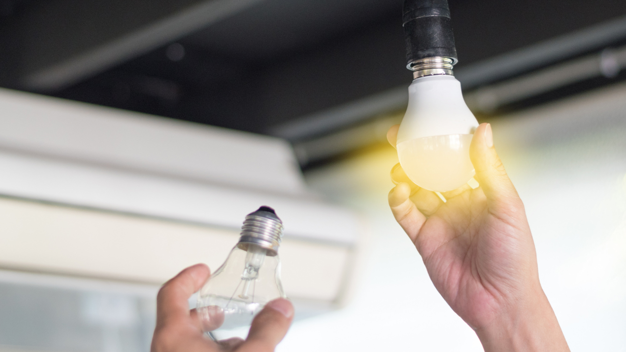 How to Choose Between Local Electricians and Handyman Services