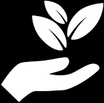 Sustainability & Circular