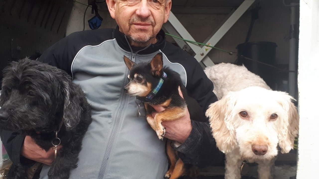 Kevin's Mobile Dog Grooming 