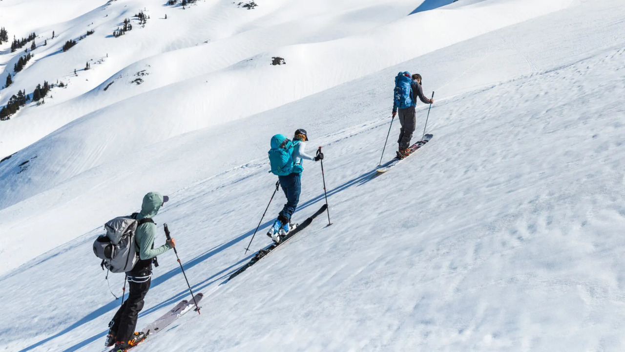 Custom Ski Adventures In BC