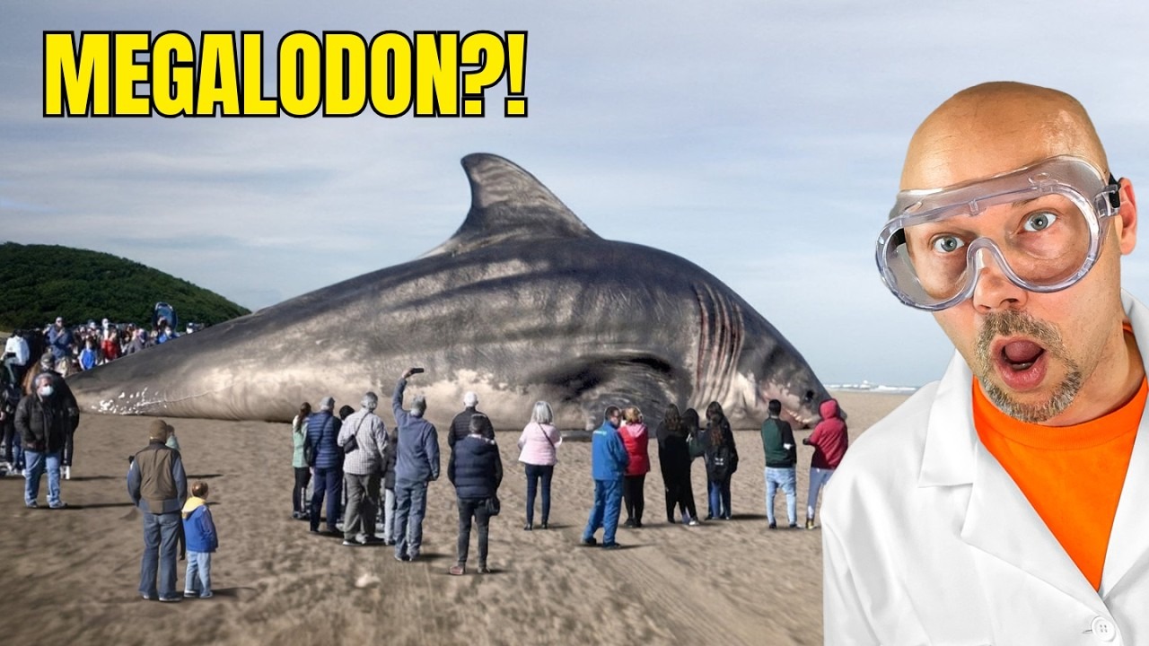 This YouTuber Built a Science Empire from the Weirdest Facts on Earth — Here’s His Formula