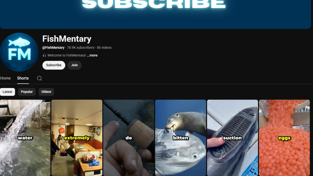 How This Fishing Shorts channel Blew Up in Months With Simple Fishing Stories + Commentary