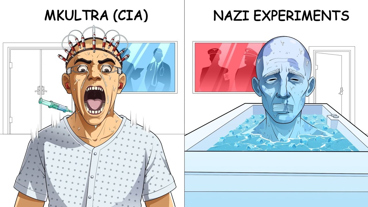 The $10,000/Month Potential: Why High-CPM Explainer Niches are the Ultimate Side Hustle