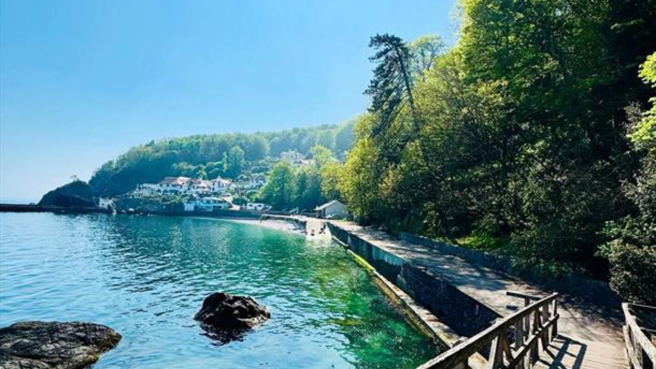 Dog Friendly Babbacombe Beach Torquay